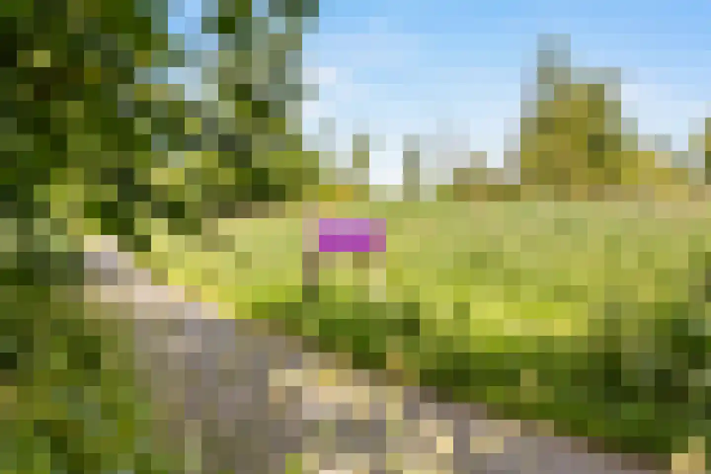 Haagbeukhof 33 Amstelveen thumbnail 12