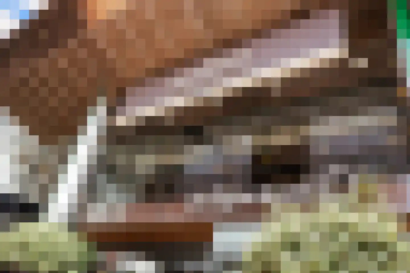 Haagbeukhof 8 Amstelveen thumbnail 11