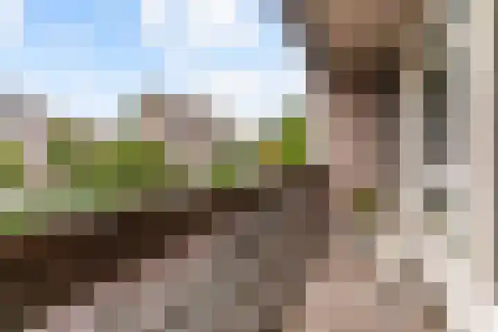 Haagbeuklaan 10 Amstelveen thumbnail 17