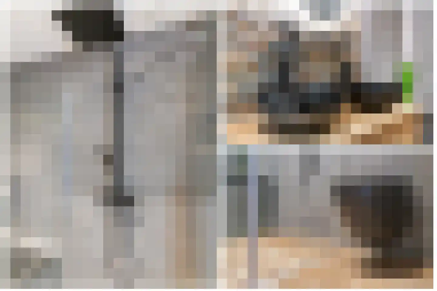 Haagbeuklaan 14 Bilthoven thumbnail 27