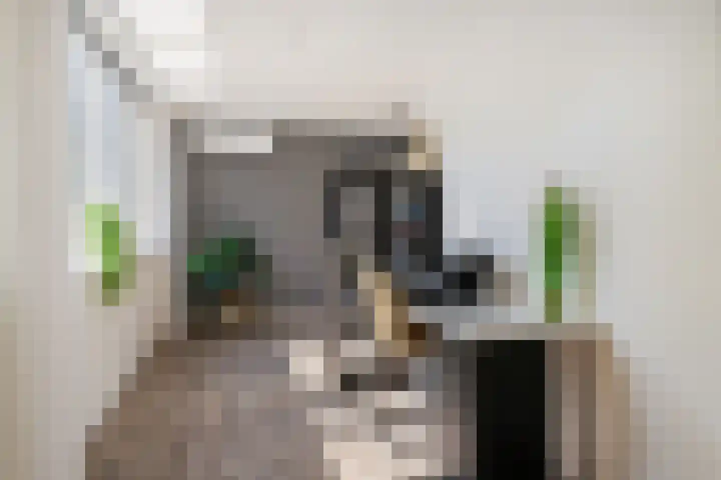 Haagbeuklaan 14 Bilthoven thumbnail 28