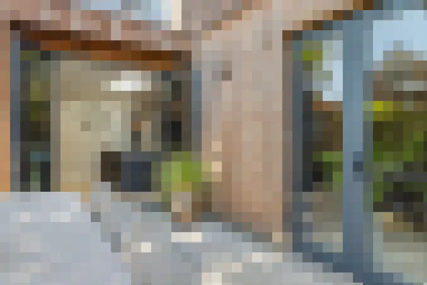 Haagbeuklaan 14 Bilthoven thumbnail 34