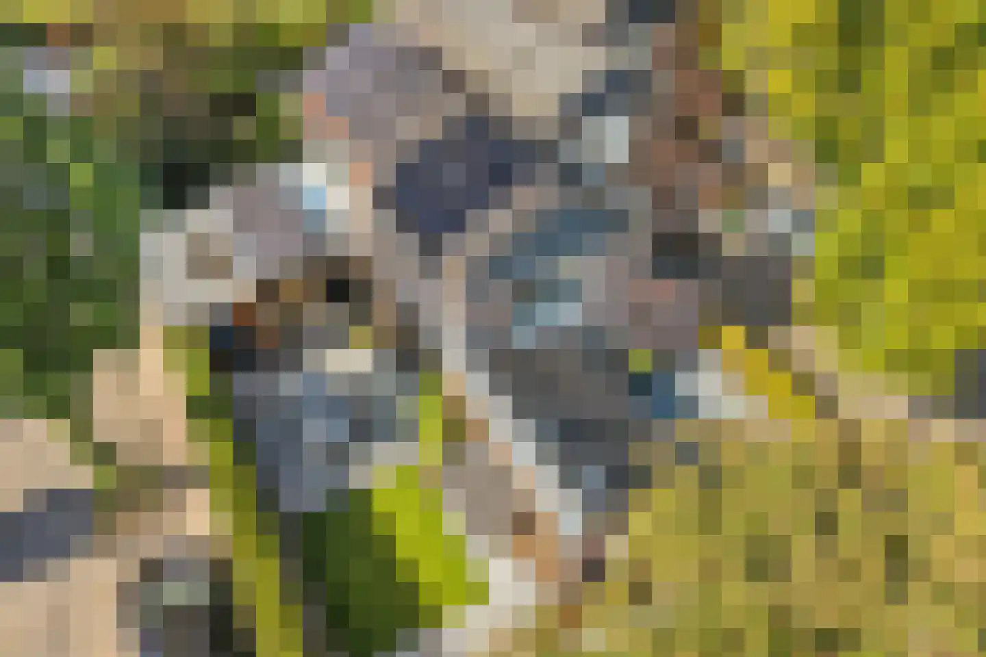 Haagbeuklaan 14 Bilthoven thumbnail 40