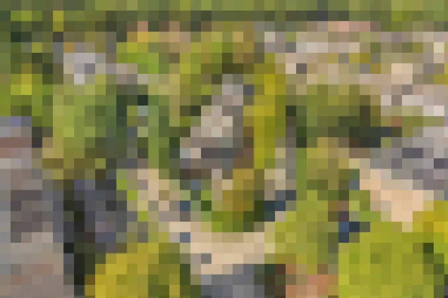 Haagbeuklaan 14 Bilthoven thumbnail 41