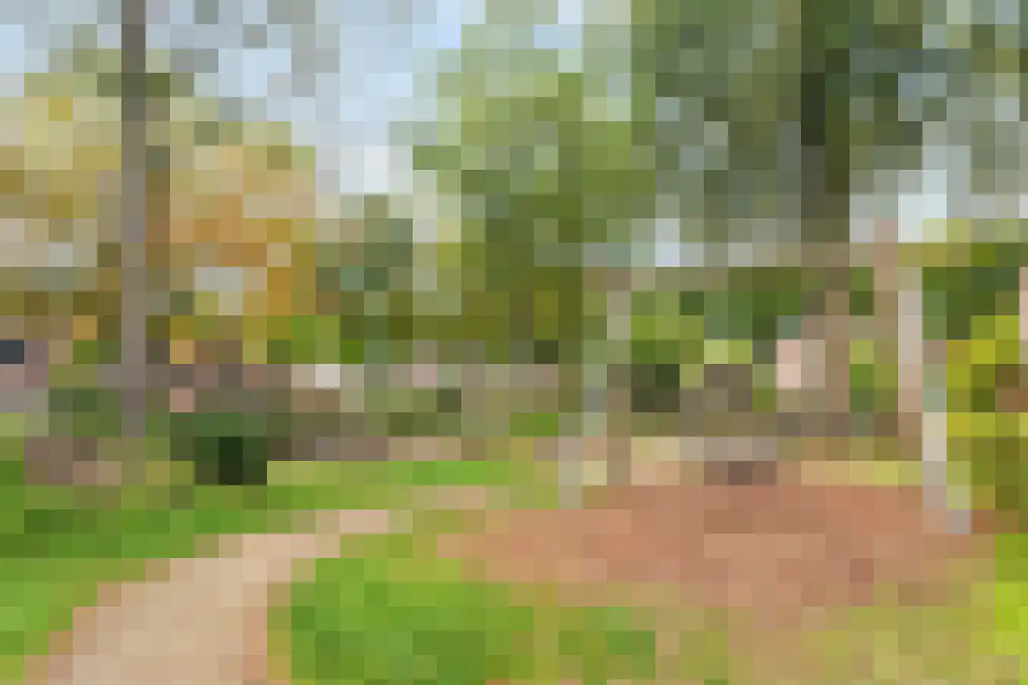 Haagbeuklaan 14 Bilthoven thumbnail 42