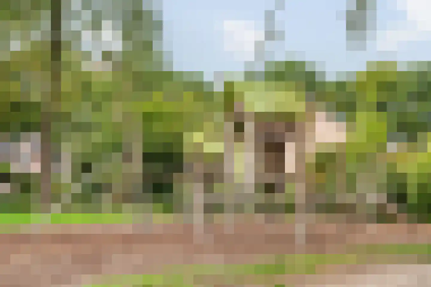 Haagbeuklaan 14 Bilthoven thumbnail 43