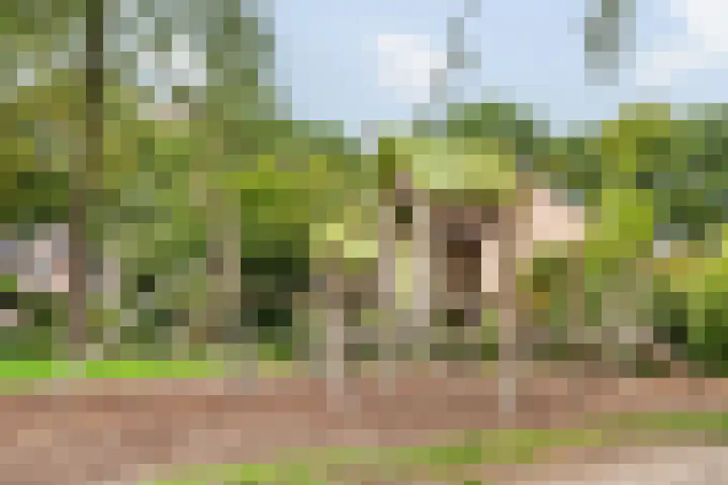 Haagbeuklaan 14 Bilthoven thumbnail 44