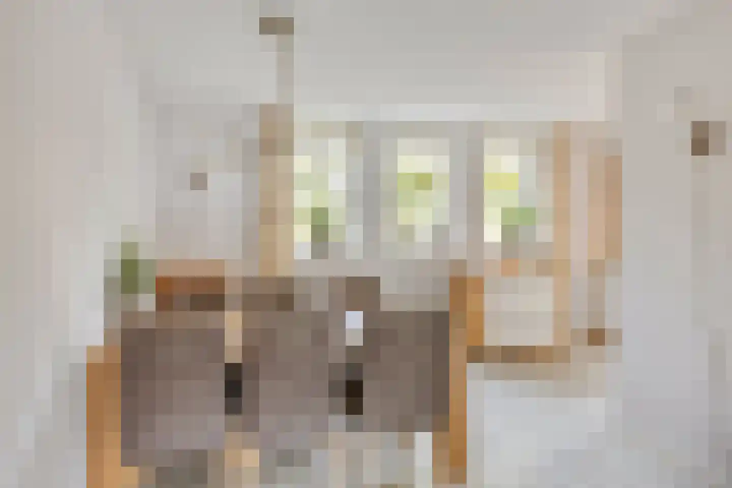 Haagbeuklaan 5 Ede thumbnail 11
