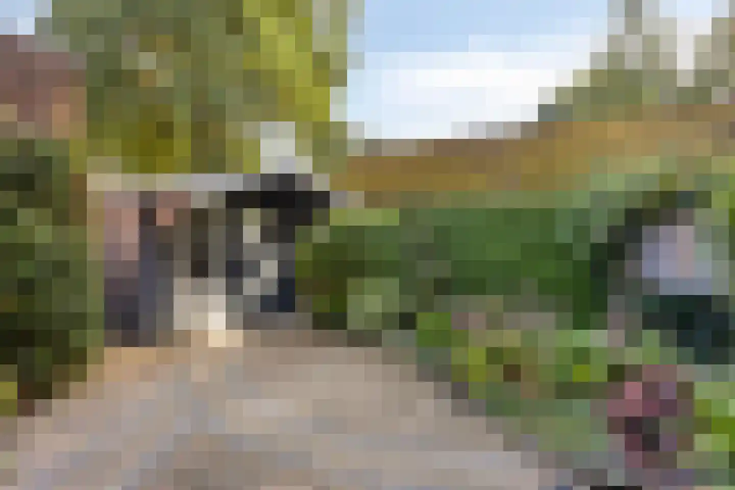 Haagbeuklaan 5 Ede thumbnail 27