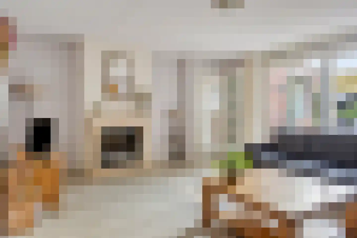 Haagbeuklaan 5 Ede foto 3