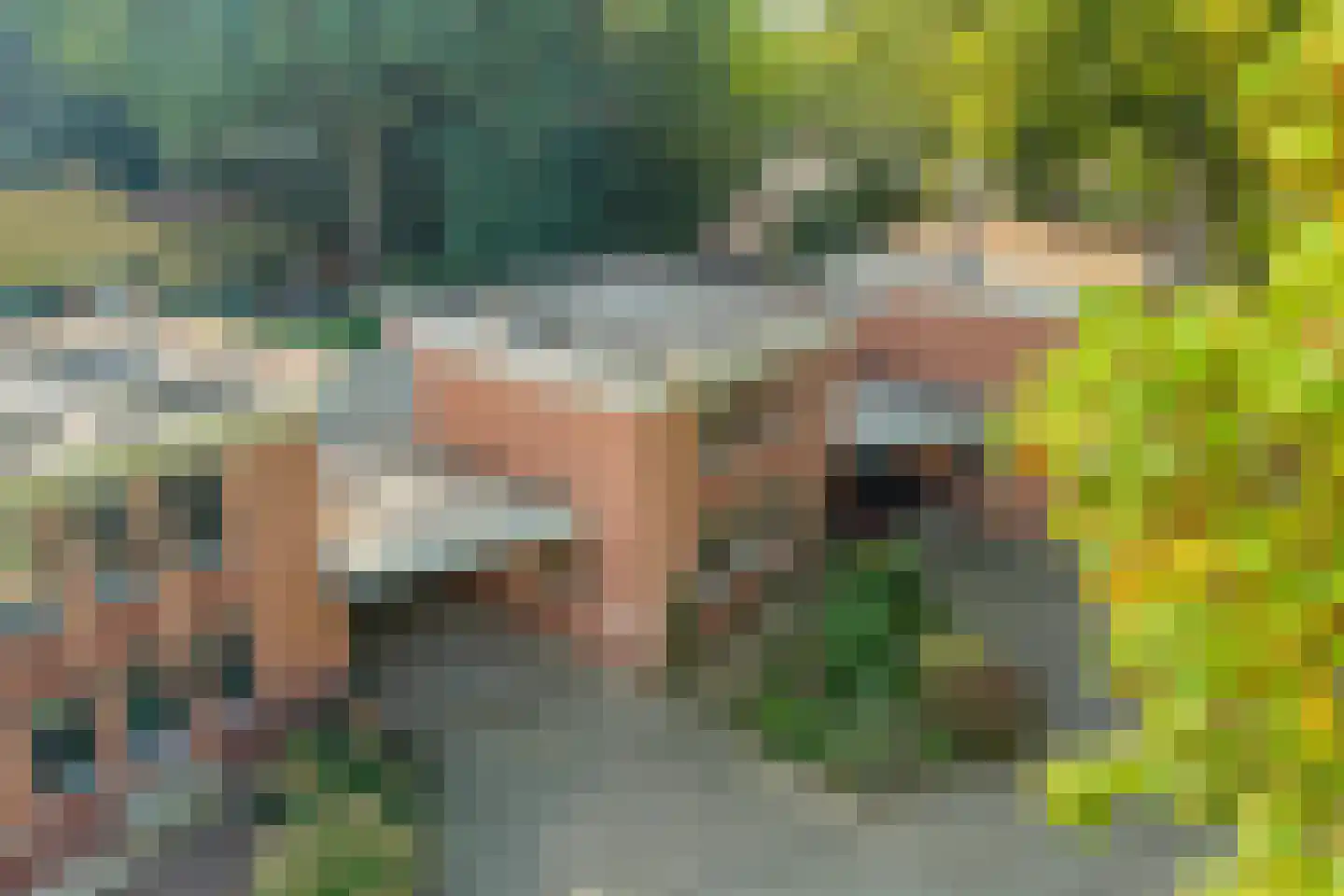 Haagbeuklaan 5 Ede thumbnail 31