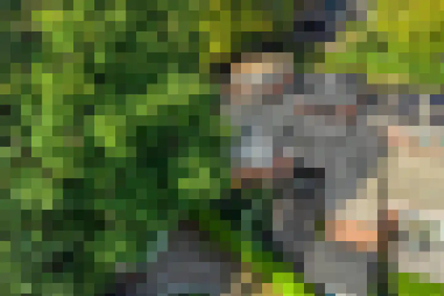 Haagbeuklaan 5 Ede thumbnail 37
