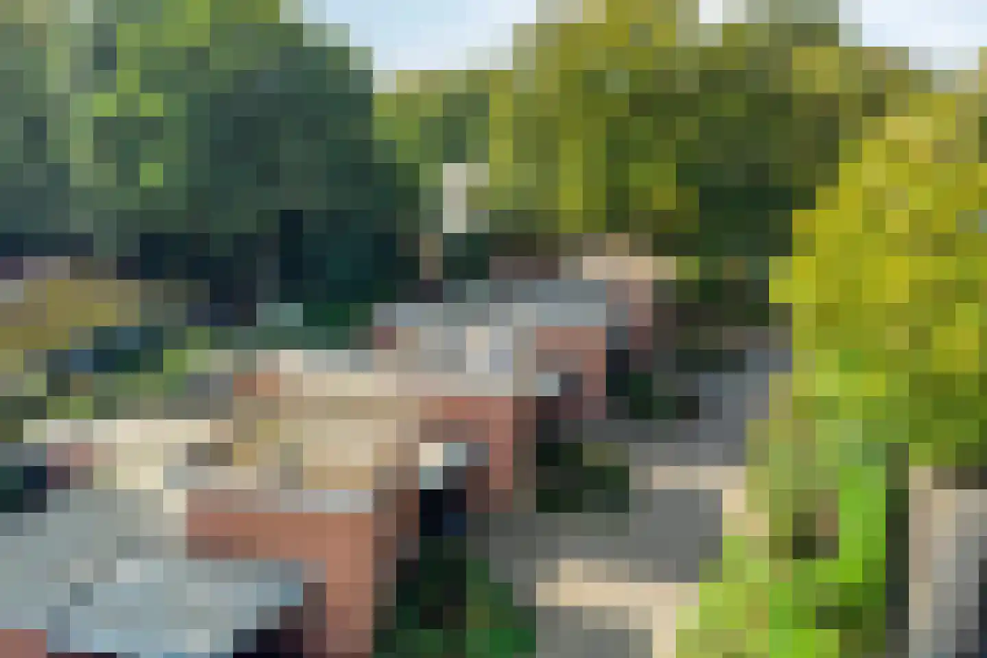 Haagbeuklaan 5 Ede thumbnail 38