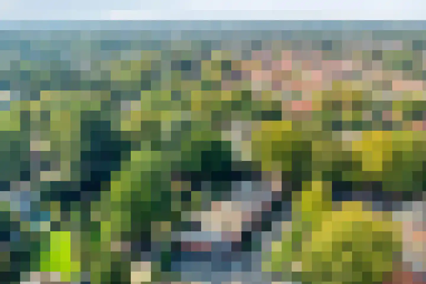 Haagbeuklaan 5 Ede thumbnail 39