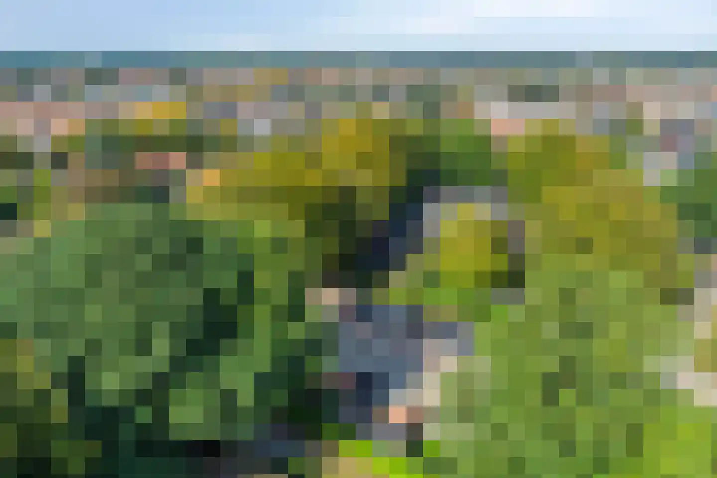 Haagbeuklaan 5 Ede thumbnail 40