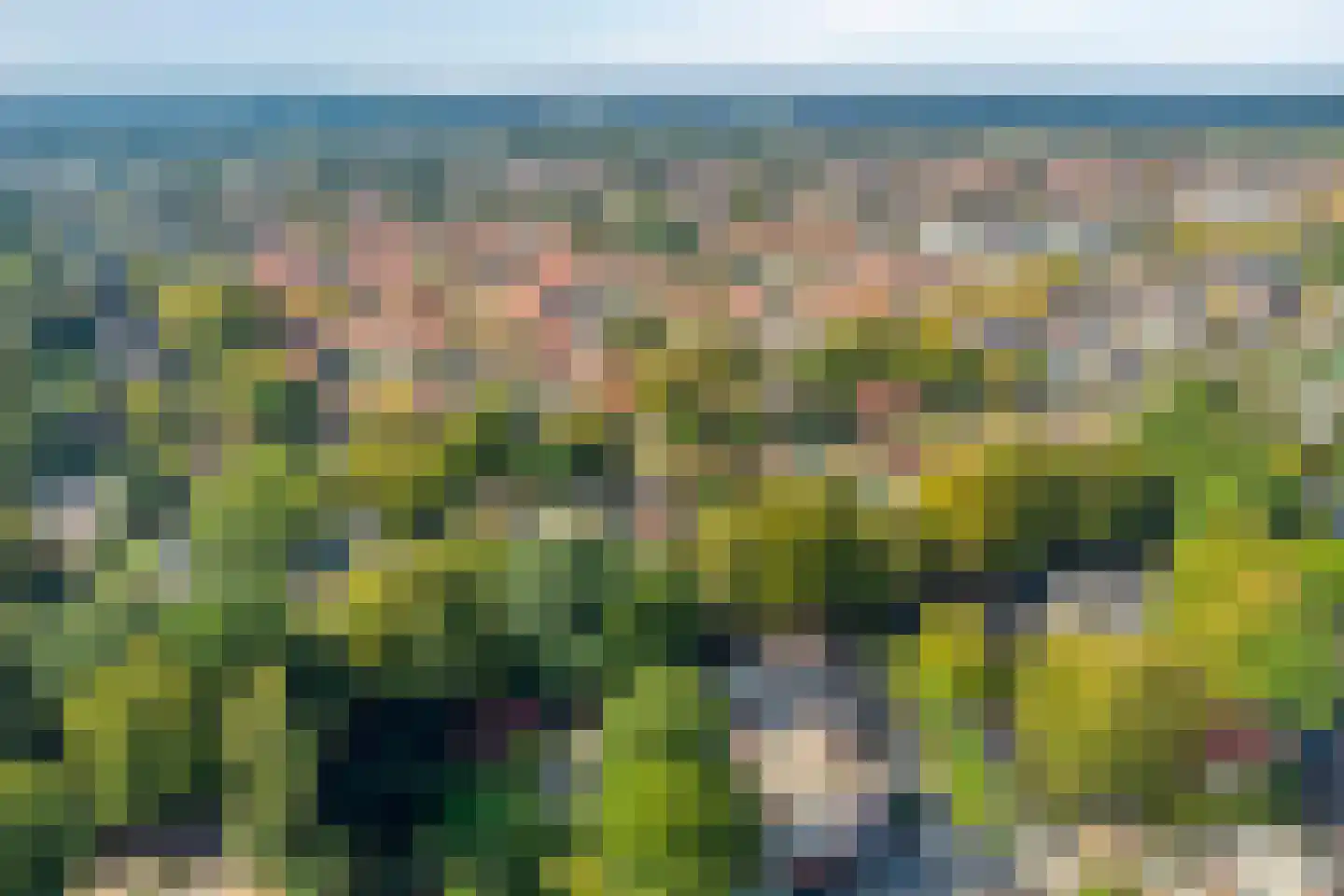 Haagbeuklaan 5 Ede thumbnail 41
