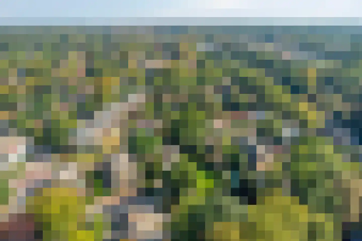 Haagbeuklaan 5 Ede thumbnail 42