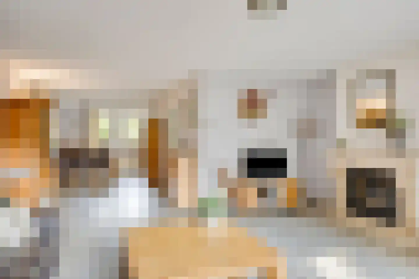 Haagbeuklaan 5 Ede thumbnail 7