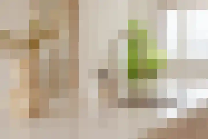 Haagbeuklaan 62 Amstelveen thumbnail 10