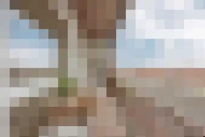 Haagbeuklaan 62 Amstelveen thumbnail 32