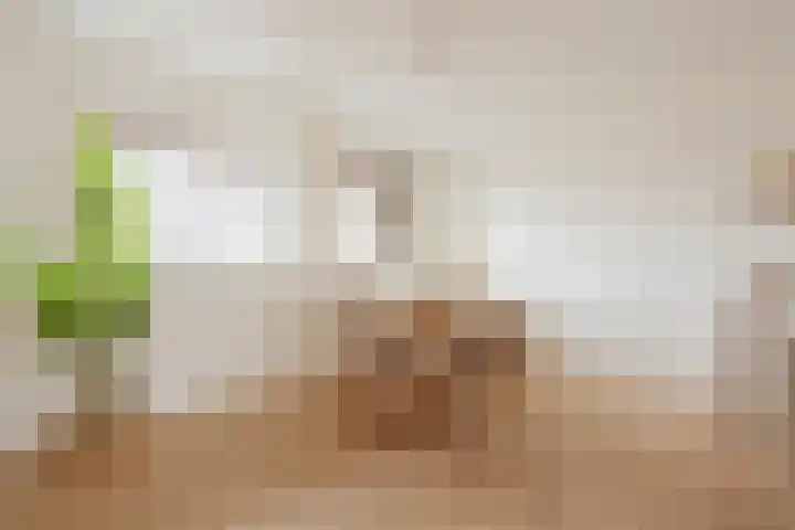 Haagbeuklaan 62 Amstelveen thumbnail 4