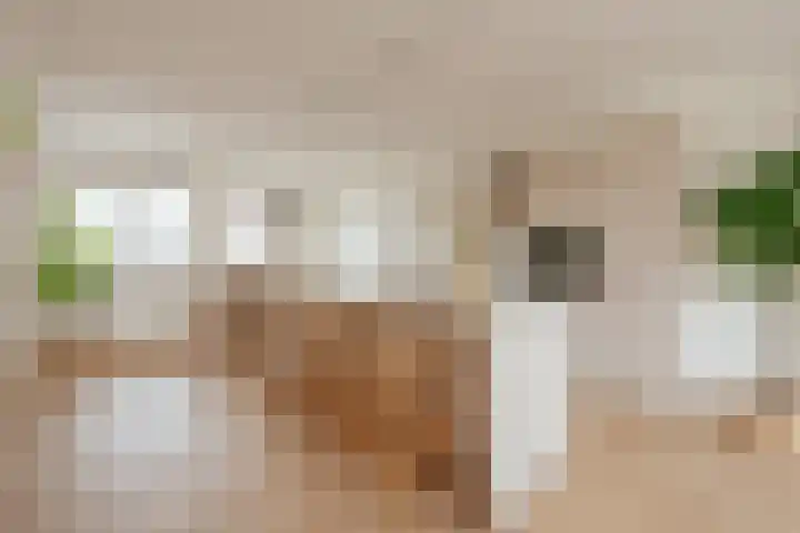 Haagbeuklaan 62 Amstelveen thumbnail 5