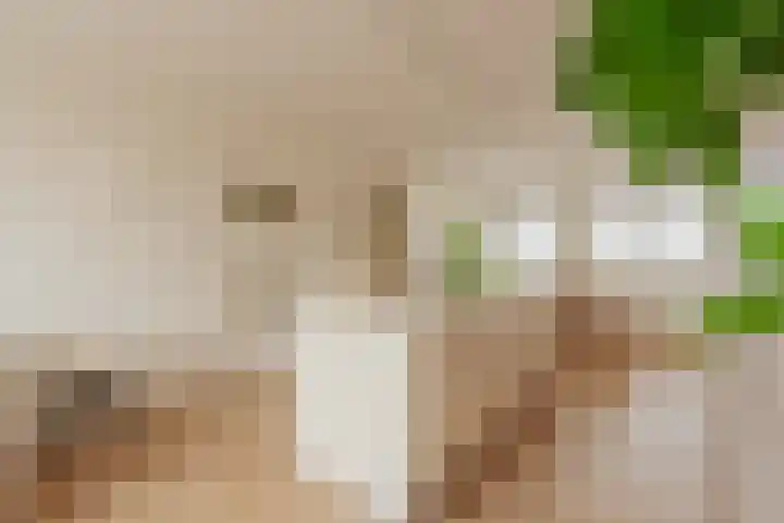 Haagbeuklaan 62 Amstelveen thumbnail 7