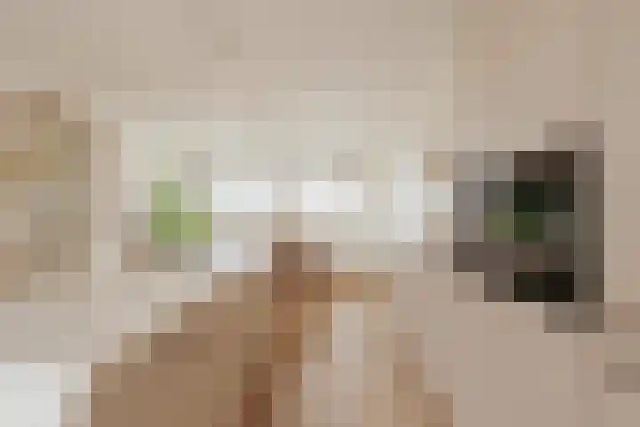 Haagbeuklaan 62 Amstelveen thumbnail 8