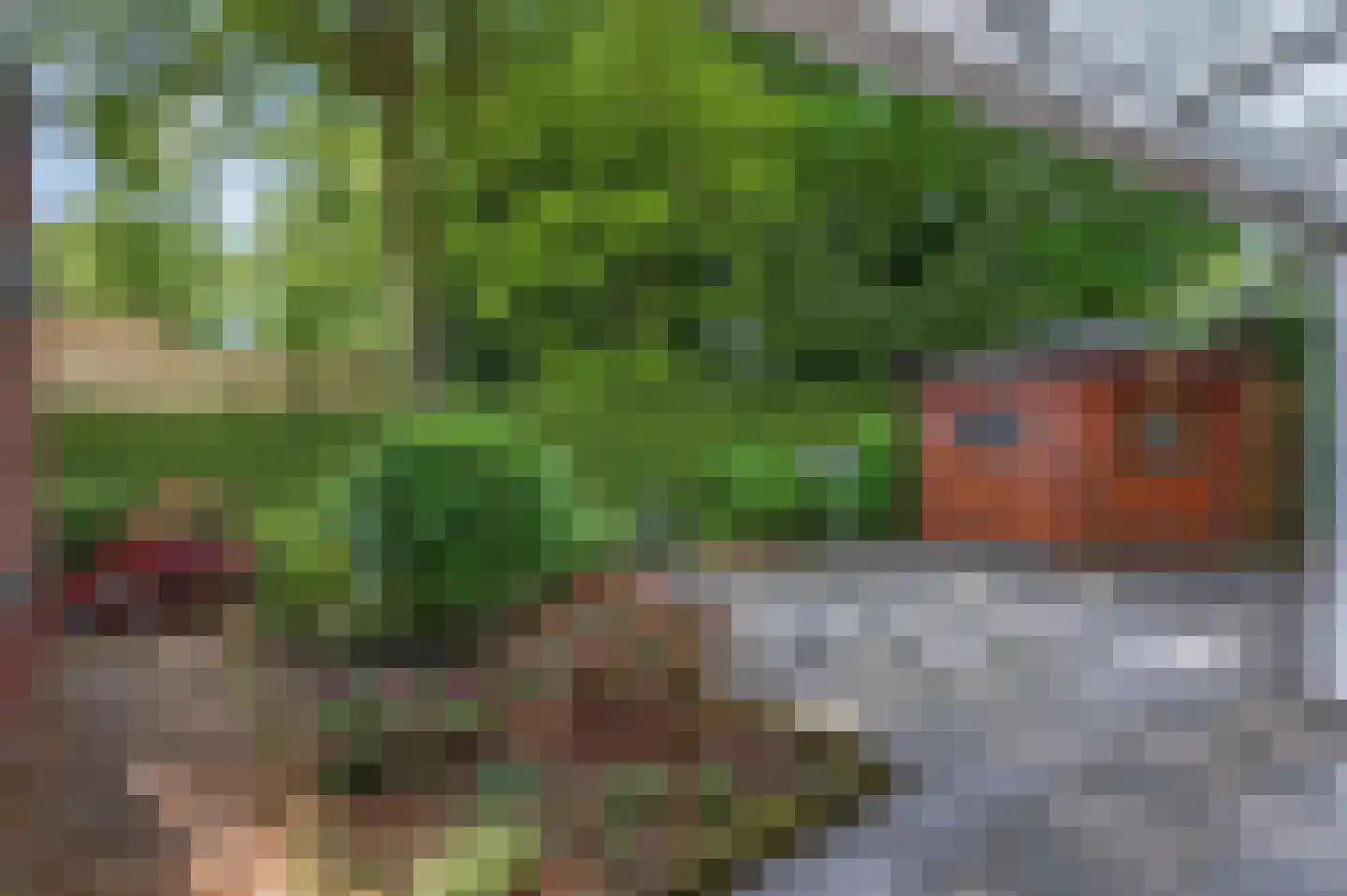 Haagbeuklaan 7 Ede thumbnail 30