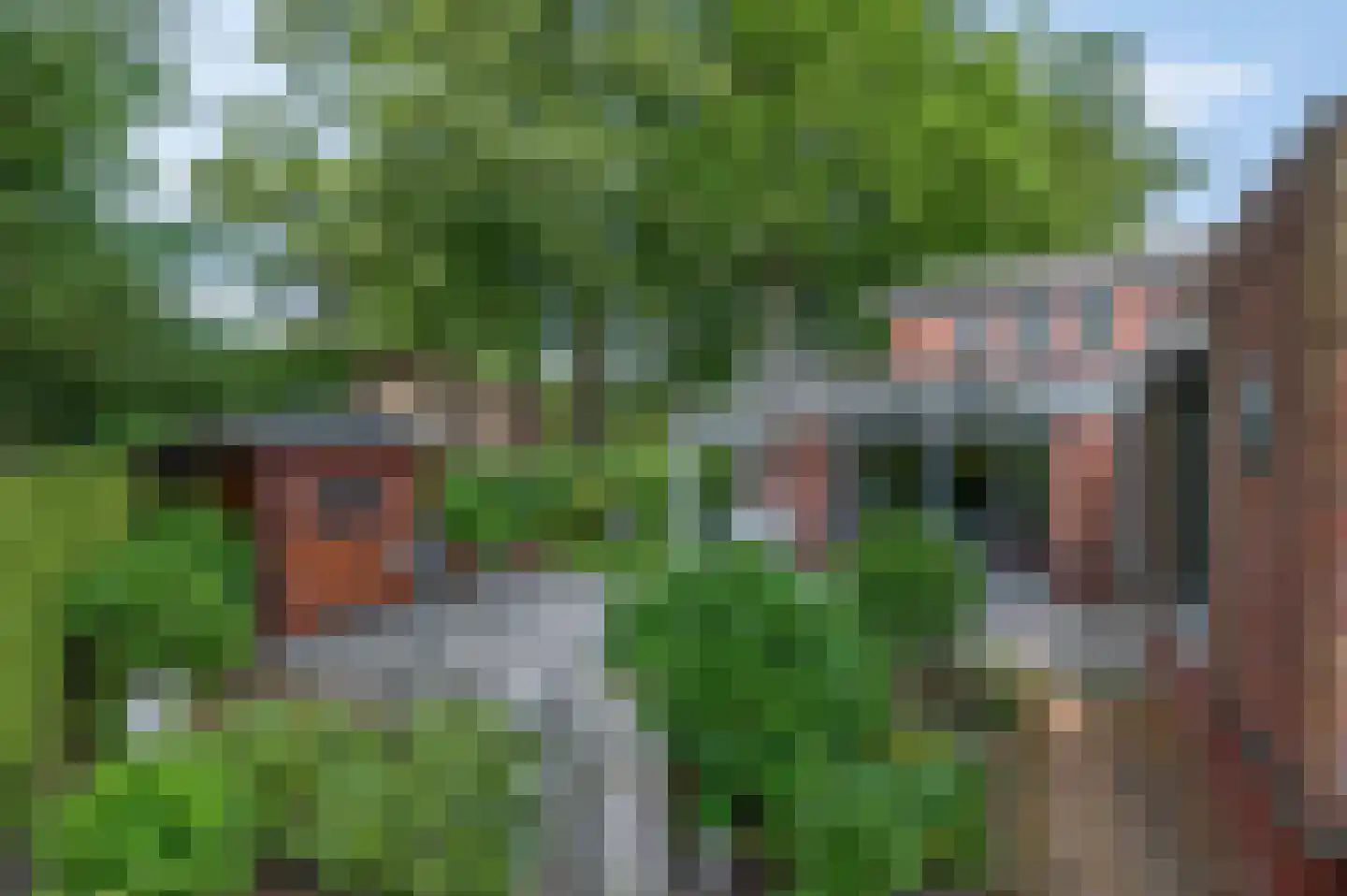 Haagbeuklaan 7 Ede thumbnail 31