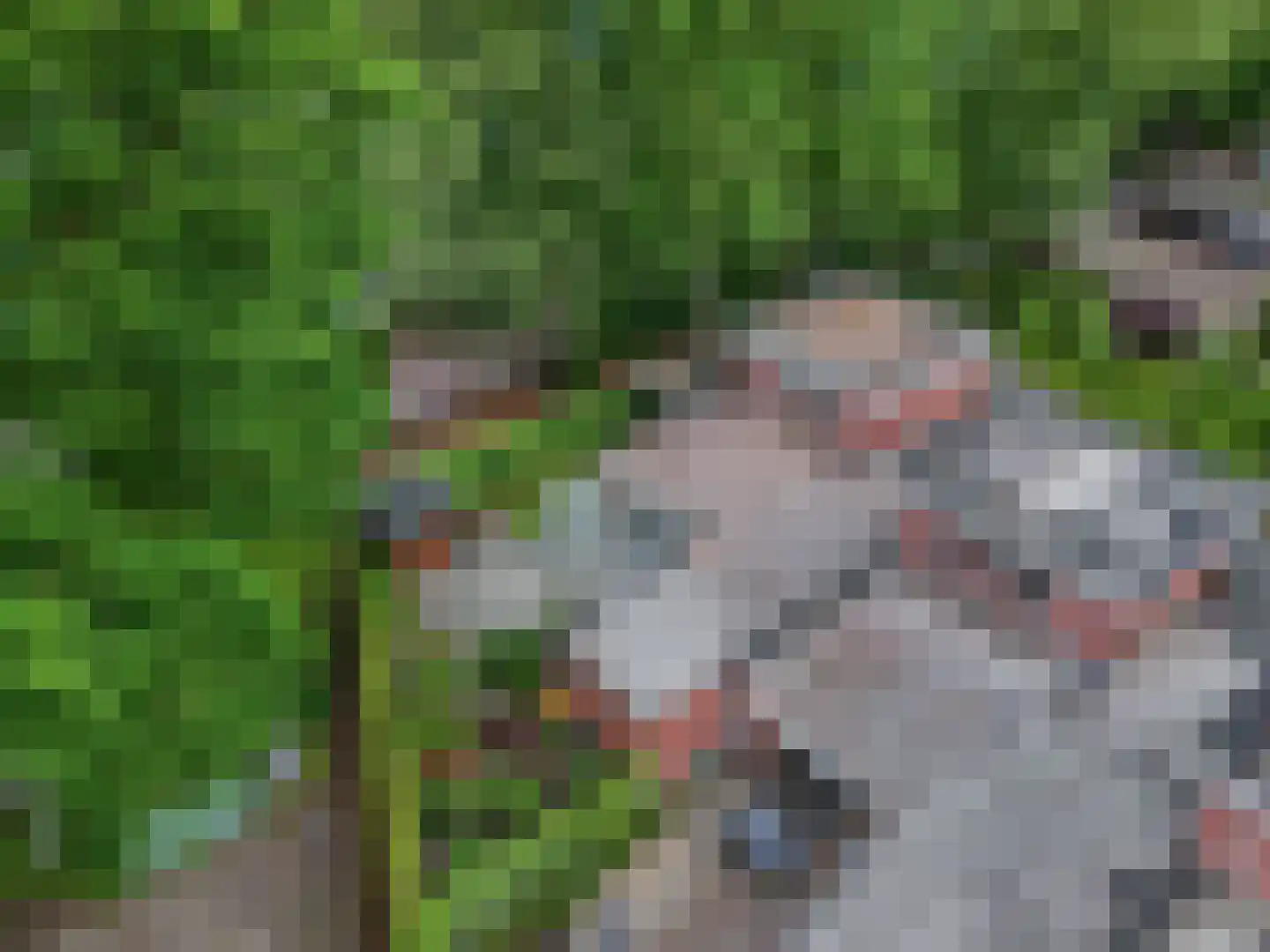 Haagbeuklaan 7 Ede thumbnail 34