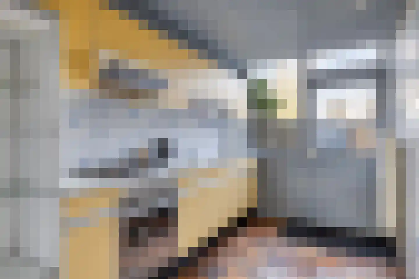 Haagbeuklaan 80 Amstelveen thumbnail 16