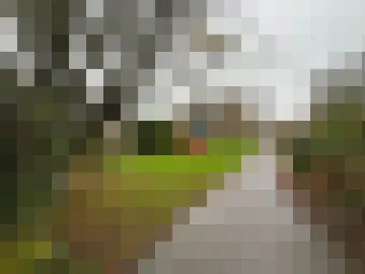 Haagbeukstraat 22 Schagen thumbnail 16