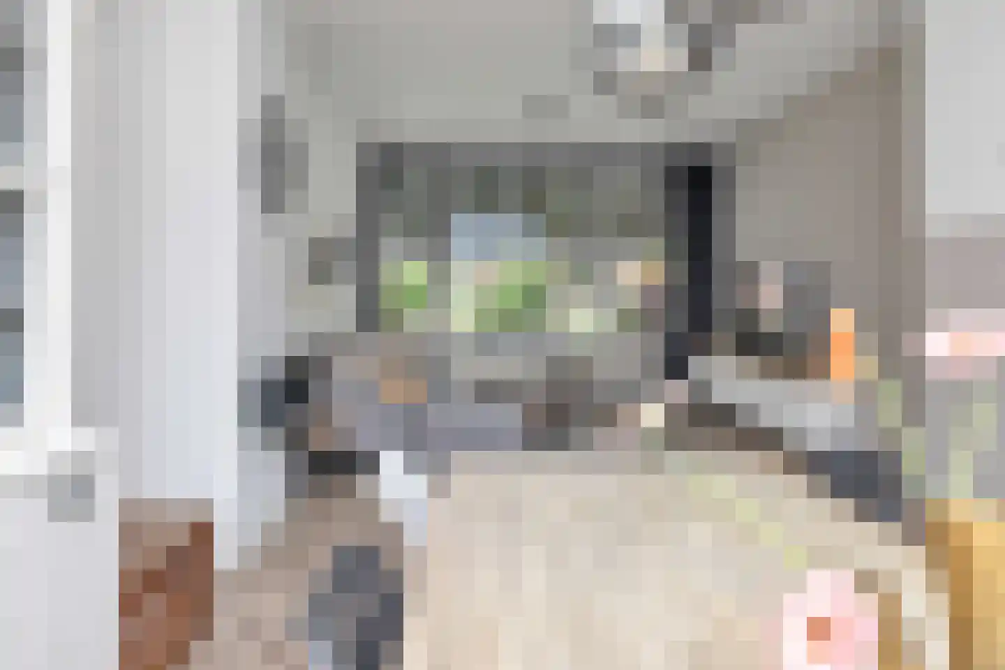 Haagbeukstraat 23 Schagen thumbnail 10