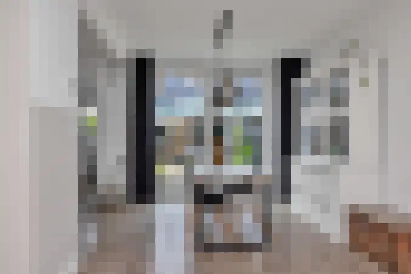 Haagbeukstraat 23 Schagen thumbnail 12