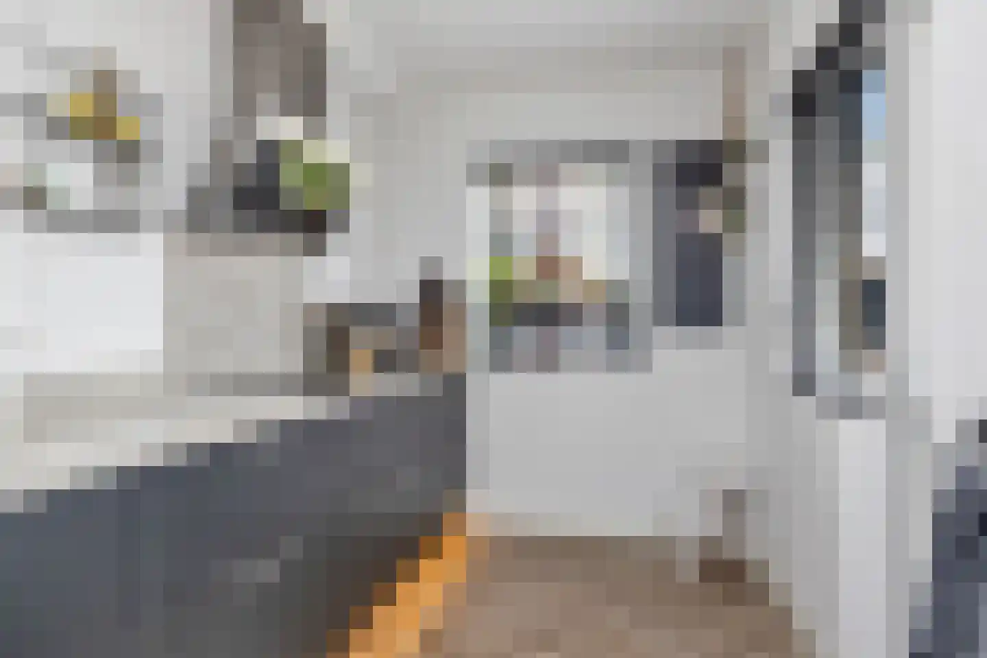 Haagbeukstraat 23 Schagen thumbnail 14