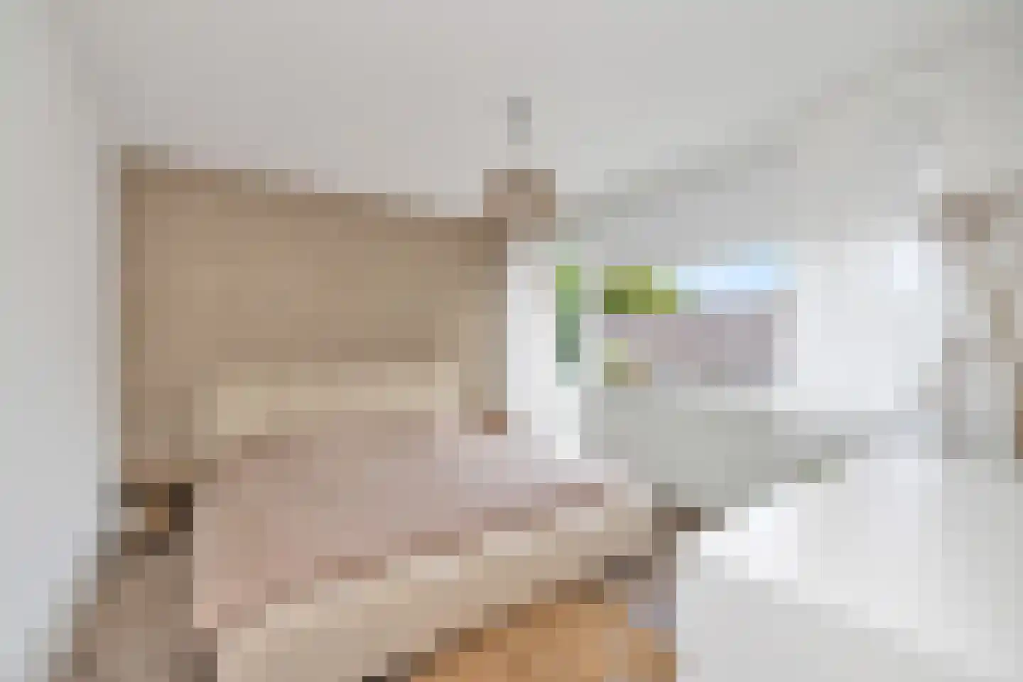 Haagbeukstraat 23 Schagen thumbnail 17