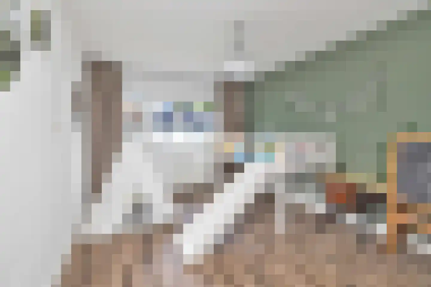 Haagbeukstraat 23 Schagen thumbnail 20
