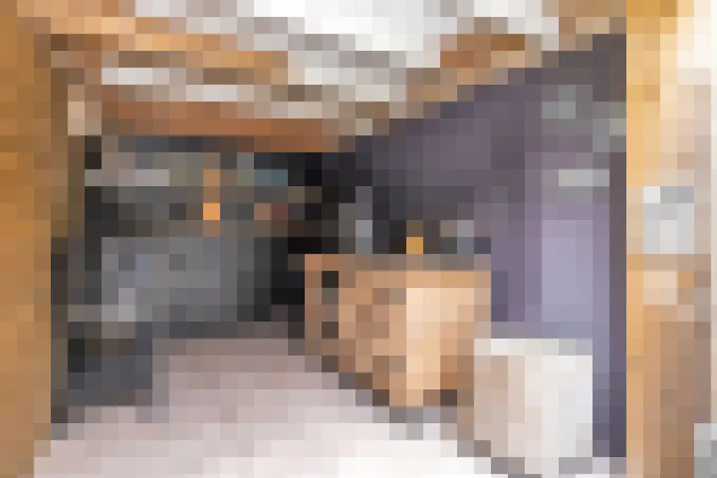 Haagbeukstraat 23 Schagen thumbnail 31