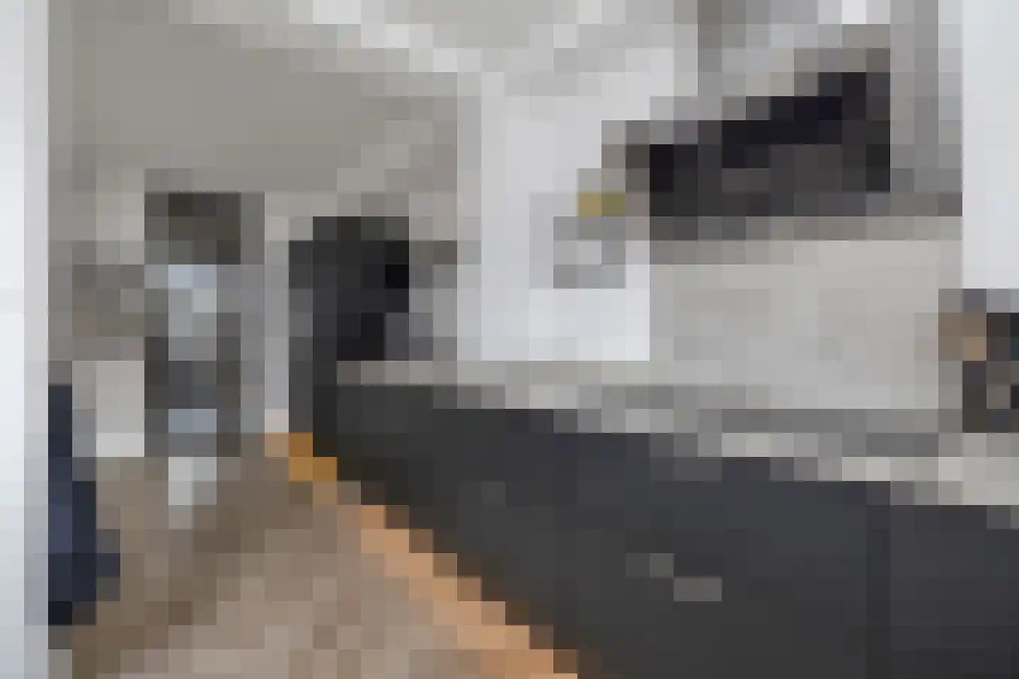 Haagbeukstraat 23 Schagen thumbnail 8