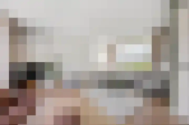 Haagbeukstraat 5 Echt thumbnail 11