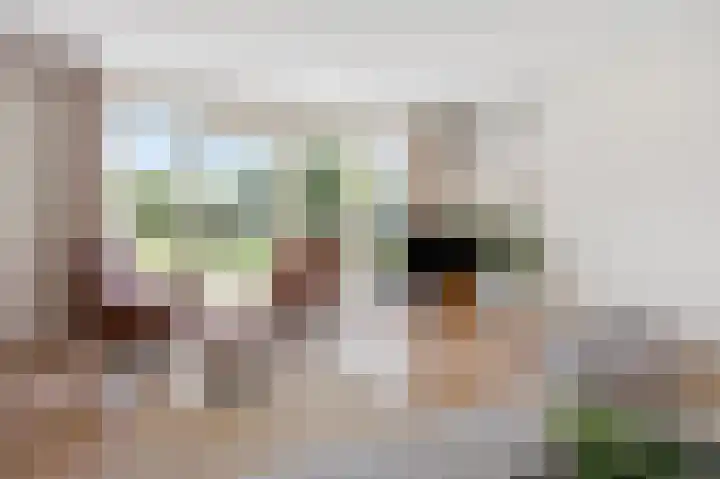 Haagbeukstraat 5 Echt thumbnail 14
