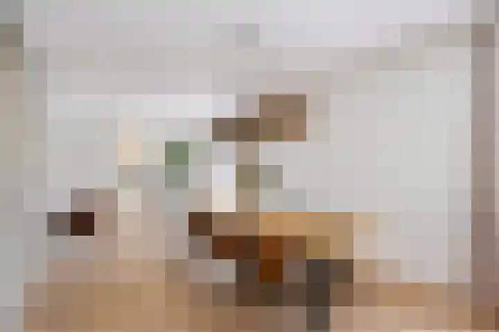 Haagbeukstraat 5 Echt thumbnail 16