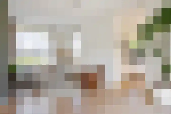 Haagbeukstraat 5 Echt thumbnail 18
