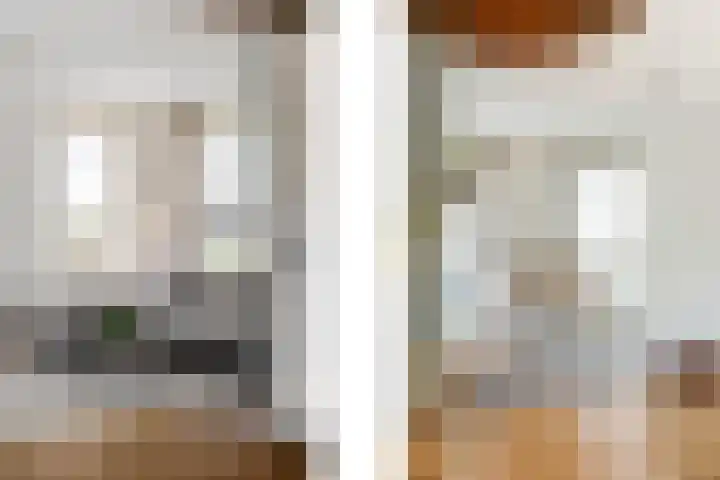 Haagbeukstraat 5 Echt thumbnail 22
