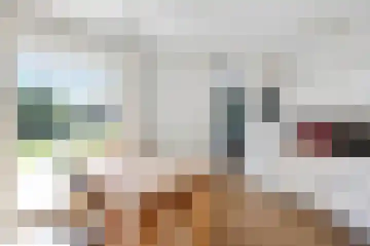 Haagbeukstraat 5 Echt thumbnail 25