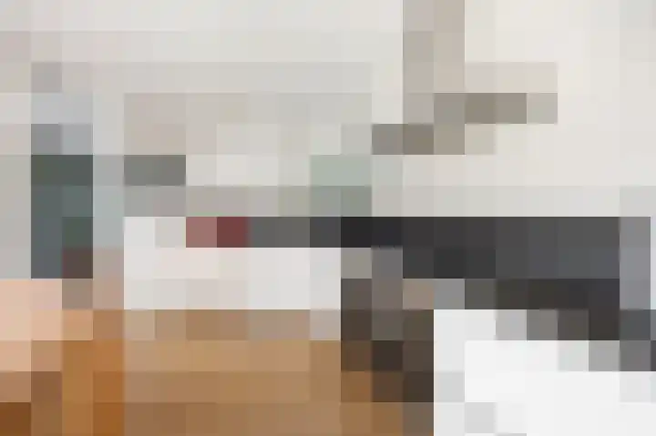 Haagbeukstraat 5 Echt thumbnail 26