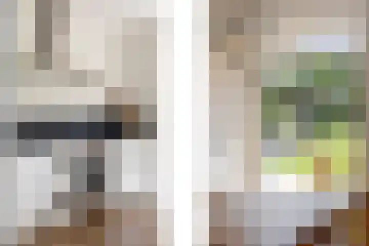 Haagbeukstraat 5 Echt thumbnail 28