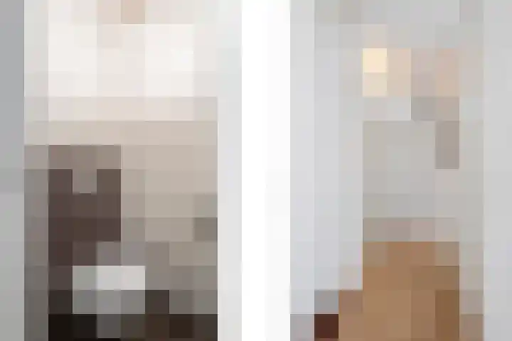 Haagbeukstraat 5 Echt thumbnail 30