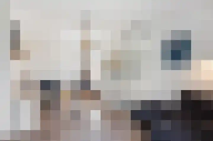 Haagbeukstraat 5 Echt thumbnail 31